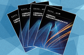 《从蓝图到伟业：中国企业数字化转型的思考与行动》