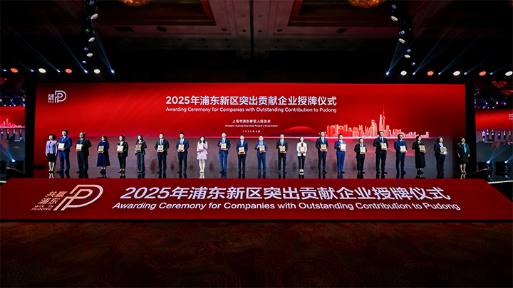 人力资源供应商南宫NG28国际凭借人才服务与在区域经济开展中的卓越表现荣膺2024年度浦东新区民营企业奖项
