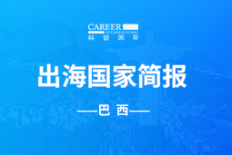 南宫NG28GO GLOBAL | 巴西国家简报