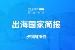 南宫NG28GO GLOBAL | 沙特阿拉伯国家简报
